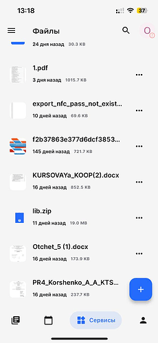 The image shows a mobile phone screenshot of a file manager application displaying a list of files with names, sizes, and the dates when they were last accessed or modified. (Captioned by AI)